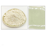 Professional Ceramic Glaze - 24 Colors (500g / 17.6 oz)