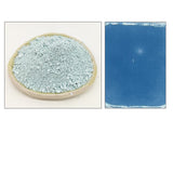 Professional Ceramic Glaze - 24 Colors (500g / 17.6 oz)